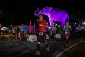 BIB: 
                            <button type="button" onclick="openModal(26552215)" class="btn btn-primary btn-sm float-right btn-popup" data-toggle="modal" data-target=".modal-high-quality">
                        <i class="fas fa-shopping-cart"></i> Add to Cart
                    </button>
                                            <button type="button" onclick="isThisMe(26552215, true)" class="btn btn-success btn-sm float-right btn-popup btn-isme hidden" data-toggle="tooltip" data-placement="bottom" title="นี่คือรูปของคุณใช่ไหม คลิกที่นี่เพื่อเอาเข้าอัลบั้ม">
                        <i class="fas fa-plus"></i> Add to album
                    </button>
                    <button type="button" onclick="isThisMe(26552215, false)" class="btn btn-warning btn-sm float-right btn-popup btn-isnotme hidden">
                        <i class="fas fa-ban"></i> Remove from album
                    </button>